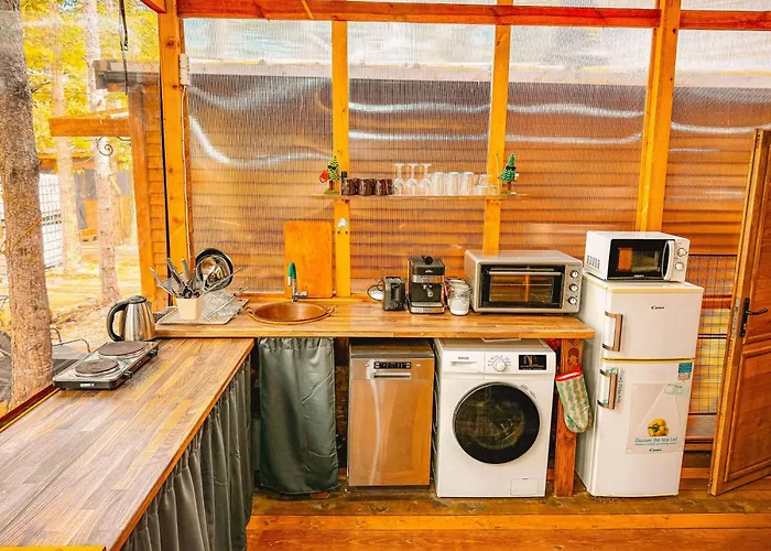 борче 부르가스