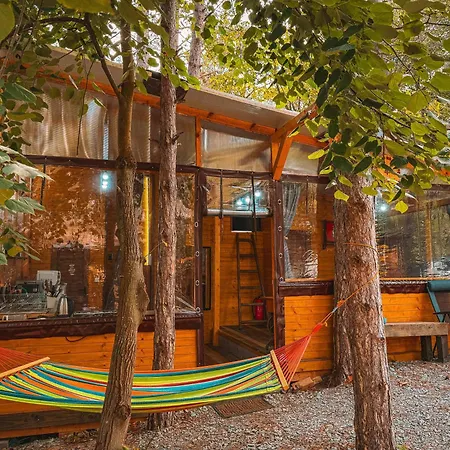 Camping борче *