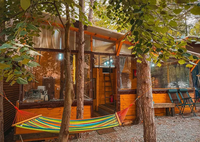 Camping борче *